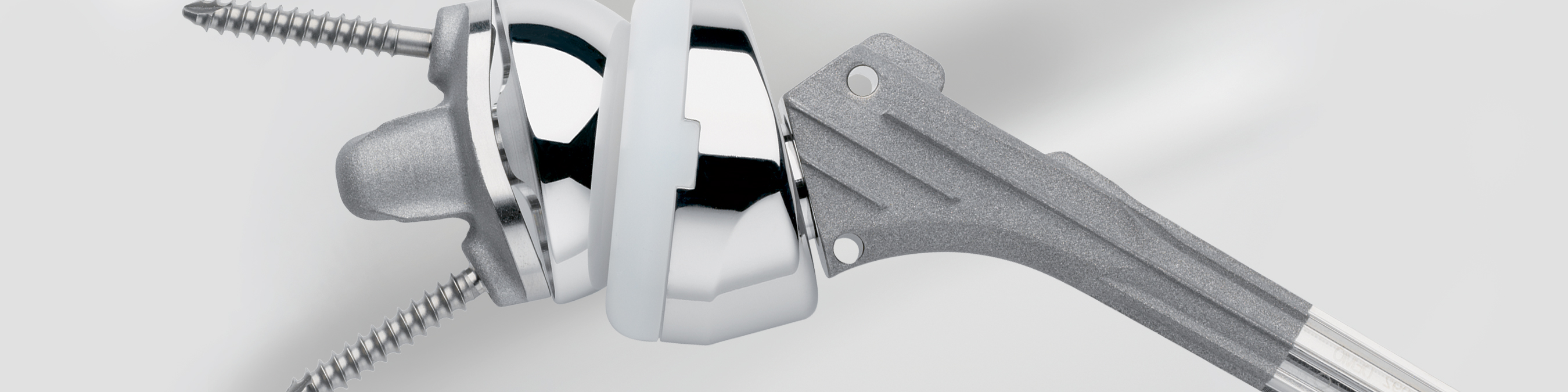 Zimmer® Anatomical Shoulder™ Fracture System Anatomic Shoulder